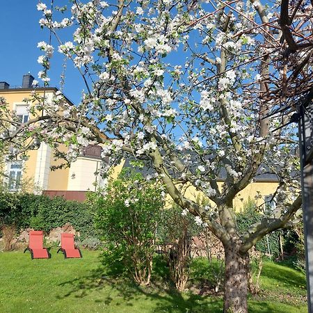 Villa Tini Radebeul Exterior photo