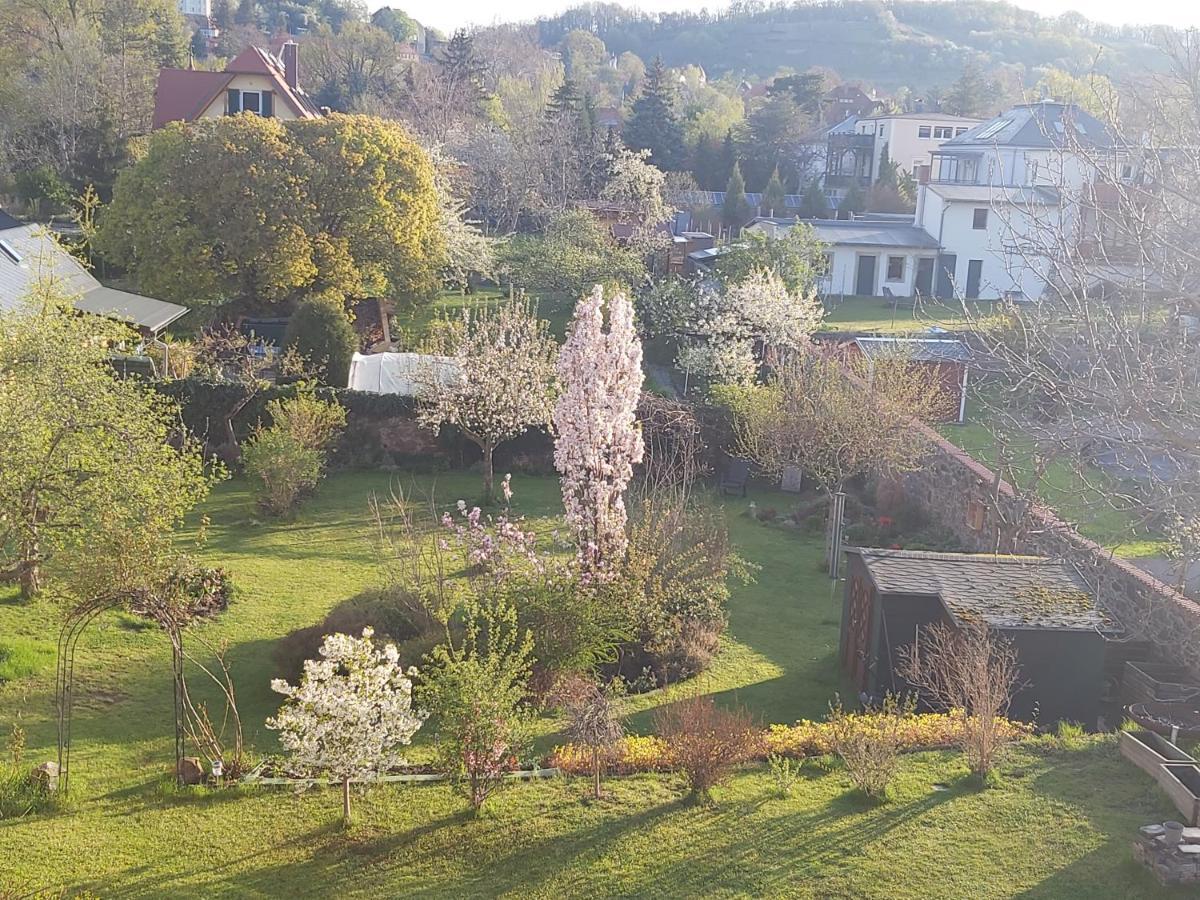 Villa Tini Radebeul Exterior photo