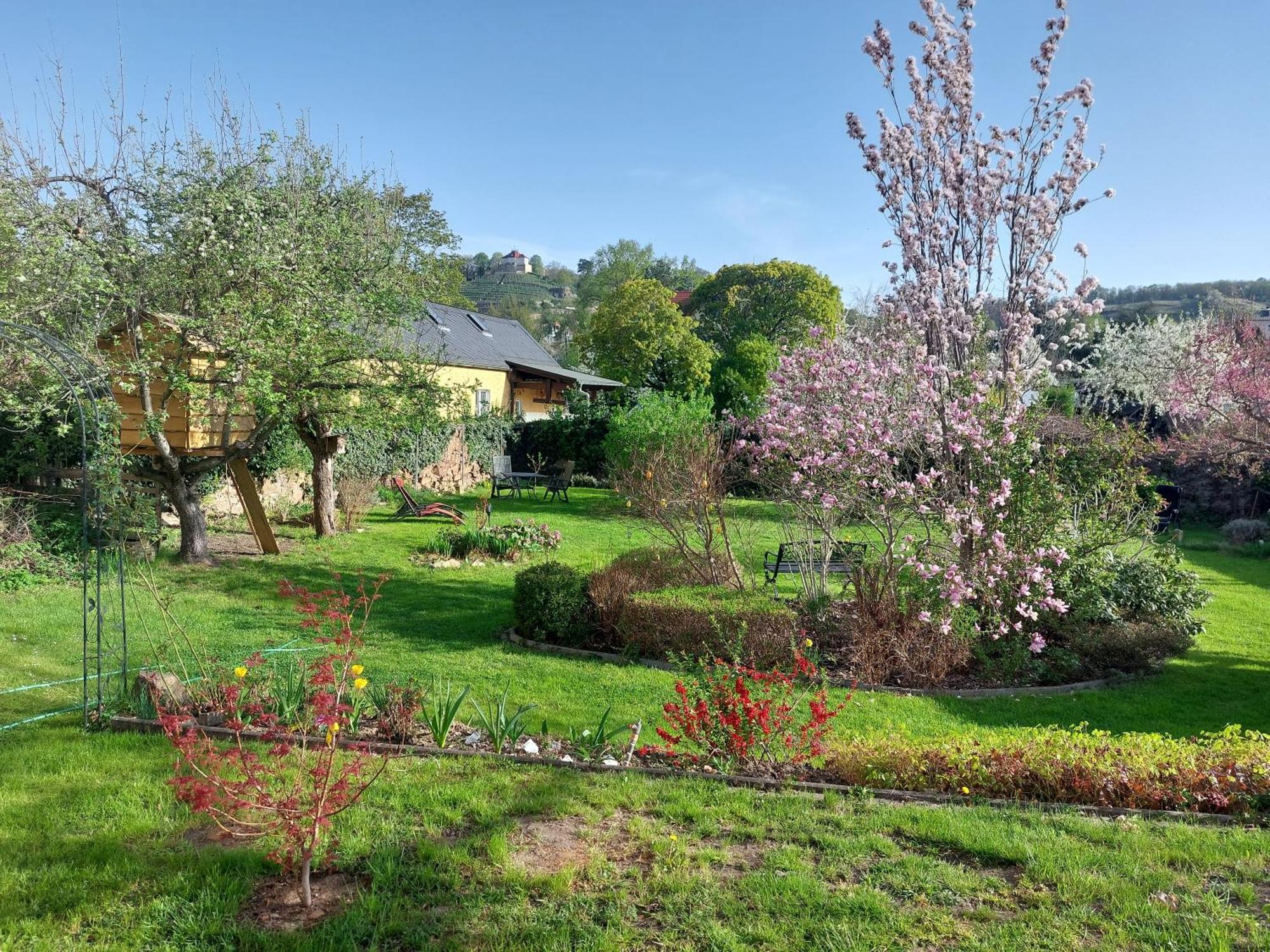 Villa Tini Radebeul Exterior photo